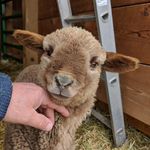 john steitz - @steitzhof - Instagram