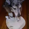 johnsteitz5 - @johnsteitz5 - TikTok