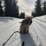 John Stenberg - @john.stenberg.79 - Instagram