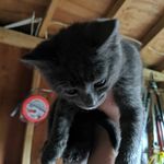 Rebekah stenberg - @johnstenberg39 - Instagram
