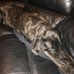 John Stender - Facebook
