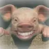 Johnstenegre@live.Fr - @stenegre.john - TikTok