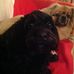 John Stensland - Facebook