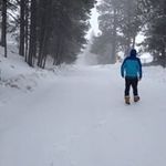 John Stenson - @stensonjohn - Instagram