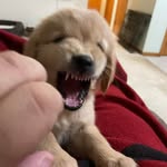 John Stepan - @jstepan - Instagram