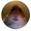 John Stephan - @johnstephan8 - TikTok