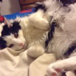John Sterba - @dovaslayer73 - Instagram