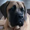 John Stern - @john.stern1 - TikTok