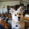 John Castetter - @johncastetter - TikTok