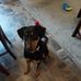 John Stiles - Facebook