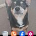 John Stimmel - Facebook