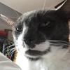 johnstinchcomb61 - @johnstinchcomb61 - TikTok
