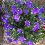 Lynda Stinchcombe - @johnstinchcombe2023 - Instagram