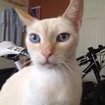 John Stites - @johnstites - Instagram
