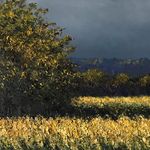 John Stockwell - @johnstockwellartist - Instagram