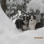 John Stoddart - @john.stoddart.16 - Instagram