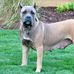 John Stoltzfus - Facebook