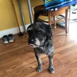 John Storch - @jfstorch - Instagram