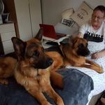 John Stott - @stott2806 - Instagram