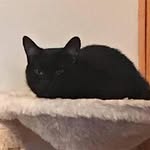 John St. Pierre - @john.st.pierre.14289 - Instagram
