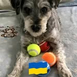 John St Pierre - @johnboywalton1962 - Instagram