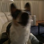 John Straley - @itsturbojohnny - Instagram