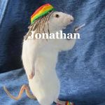 Johnathan stribling - @johnathanstribling - Instagram