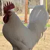 johnstringer837 - @johnstringer837 - TikTok