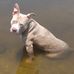 John Stripling - Facebook