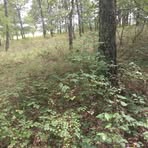 John Stripling - Facebook