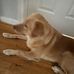 John Stroia - Facebook