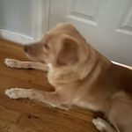 John Stroia - @stroiajohn - Instagram