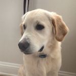 John - @johnstroker1 - Instagram