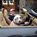 John Stromberg - Facebook