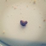 John Struck - @cockanast - Instagram