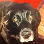John Strumke - @johnstrumke - Instagram