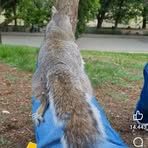 John Stuart - Facebook