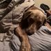 John Stucker - Facebook
