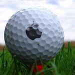John Stull - @trophy_stacker_ - Instagram