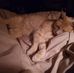 John Stum - Facebook