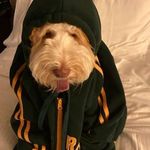 John Sturdevant - @johnsturdevant2000 - Instagram