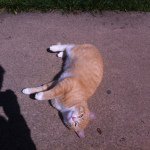 John Stutzman - @ducey098 - Instagram