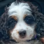 John Sully - @dozerenglish7 - Instagram