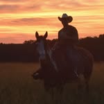 @johnsully - Instagram