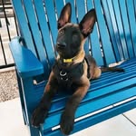 John Sumner - @john_sumner_ - Instagram