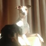 John Sumner - @john.sumner.98 - Instagram