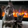 John Sumner - @john.sumner62 - TikTok