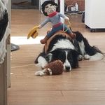 John Sundberg - @johnsundberg1964 - Instagram