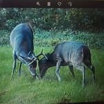 John Sutfin - @john.sutfin.5 - Instagram