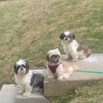 John Sutherland - @sutherland.john - Instagram